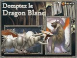 Rappelz : Cerbère et Dragon Blanc