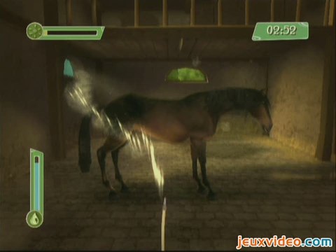 Alexandra Ledermann : Le Haras de la Vallée : Soin au cheval