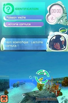 L'Ile aux Dauphins : Aventures Sous-Marines : Baptême de plongée