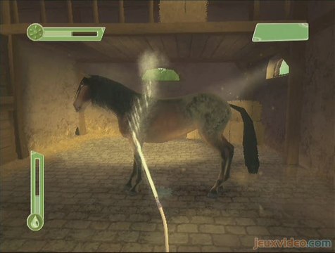 Alexandra Ledermann : Le Haras de la Vallée : Lavons et brossons mon petit poney !