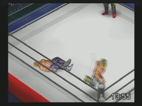 Fire Pro Wrestling Returns : Gameplay