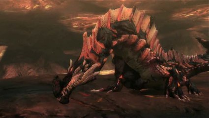 Monster Hunter 3 : Agnaktor
