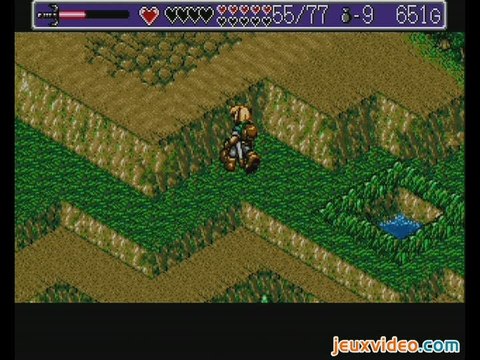 Landstalker : Le Trésor du Roi Nole :