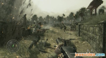 Call of Duty : World at War : En détresse à Okinawa