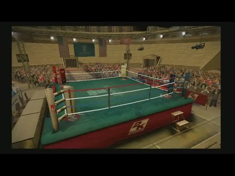 Don King Boxing : Specificités de la version Wii