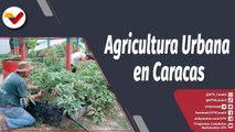 360º | Fundación Montaraz impulsa la agricultura urbana desde los barrios