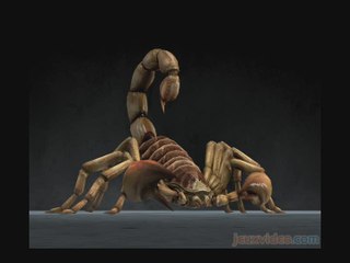 Deadly Creatures : Principe