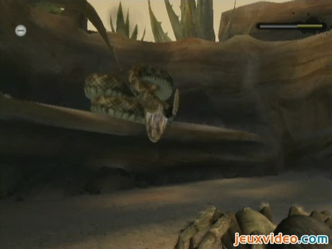 Deadly Creatures : Des vilaines bébêtes