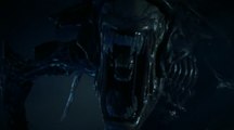 Aliens : Colonial Marines : Contact