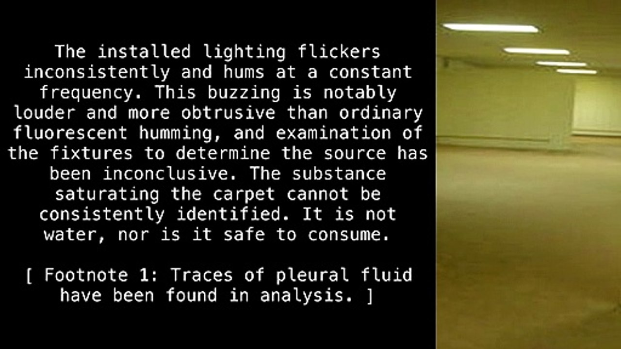 Level 0 "Tutorial Level" [The Backrooms]