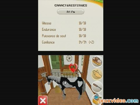 Riding Star : Competitions Equestres : Chouchoutez votre cheval