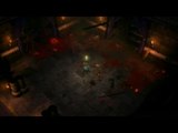 Diablo III : Un poisson qui voit rouge