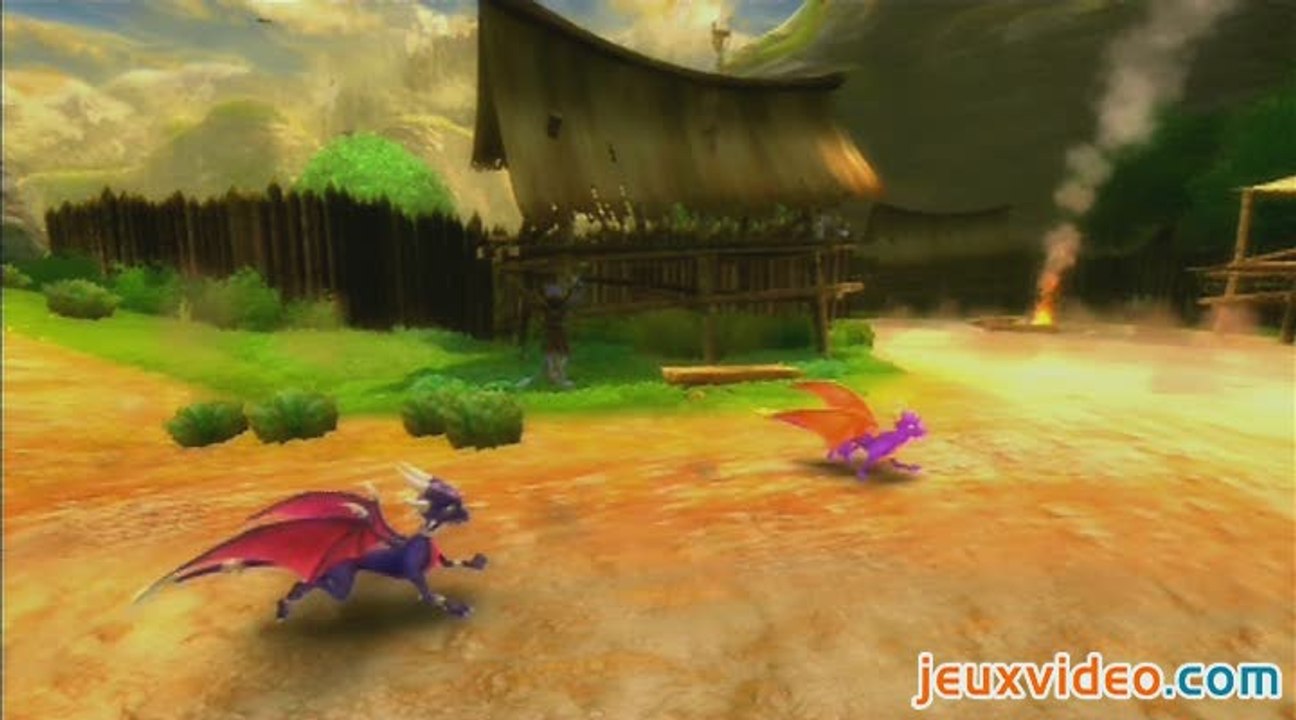 La Légende de Spyro : Naissance d'un Dragon : Mode coop