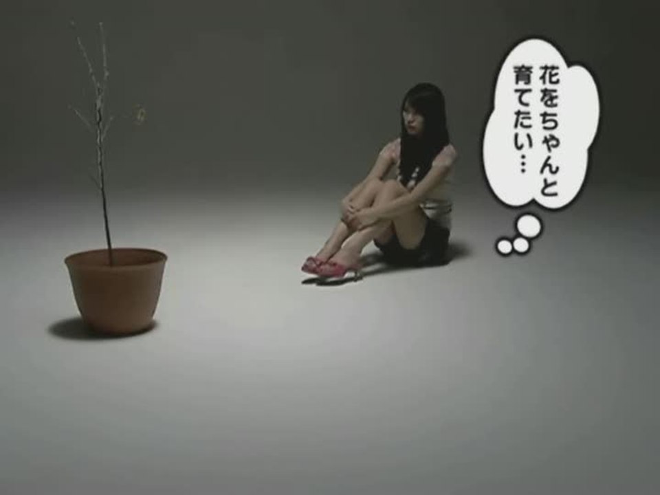 Hana Saku DS Gardening Life : Spot japonais