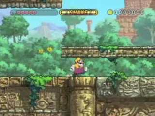 Wario Land : The Shake Dimension : Mouvements : charge