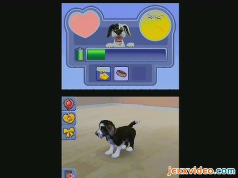 Les Sims 2 : Mes Petits Compagnons :