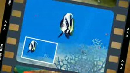 Sea Life Safari : Trailer - Safari photo aquatique