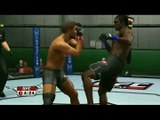 UFC 2009 Undisputed : Mode carrière