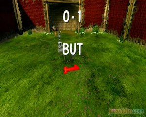 Madagascar 2 : Les animaux aussi jouent au foot