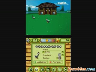 My Farm around the World : Des poules asiatiques