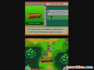Pokémon Ranger : Nuit sur Almia : Les menus