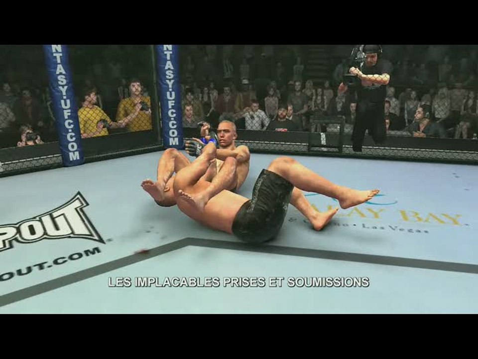 UFC 2009 Undisputed : Techniques au sol
