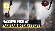 Fire Breaks Out at Rajasthan's Sariska Tiger Reserve, 2 IAF Choppers Brought In