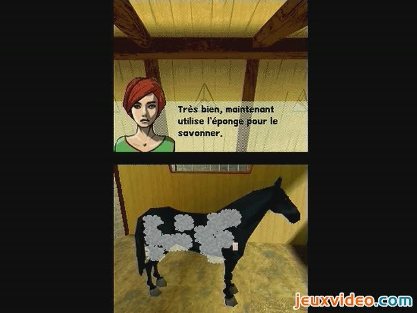 Mon Cheval Et Moi - PC : la galerie d'images