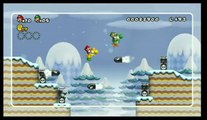 New Super Mario Bros. Wii : Super Skills