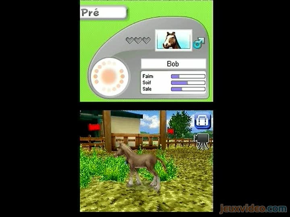 Petz : Ma Famille Poulains : Balade et mini-jeu