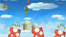 New Super Mario Bros. Wii : La toupie