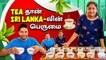 Srilankan உயிர் நாடி இதுதான் | Tea Estate Tour | Economic Crisis | Rj Chandru Vlogs