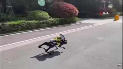 Şanghay'da sokaklarda dolaşan robot köpek gündem oldu