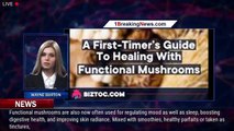 A First-Timer's Guide To Healing With Functional Mushrooms - 1breakingnews.com