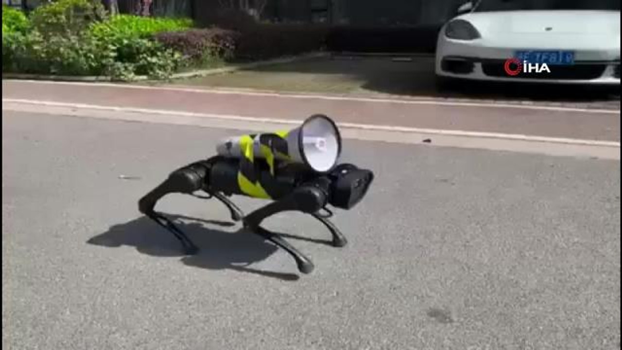 Şanghay'da sokaklarda dolaşan robot köpek gündem oldu
