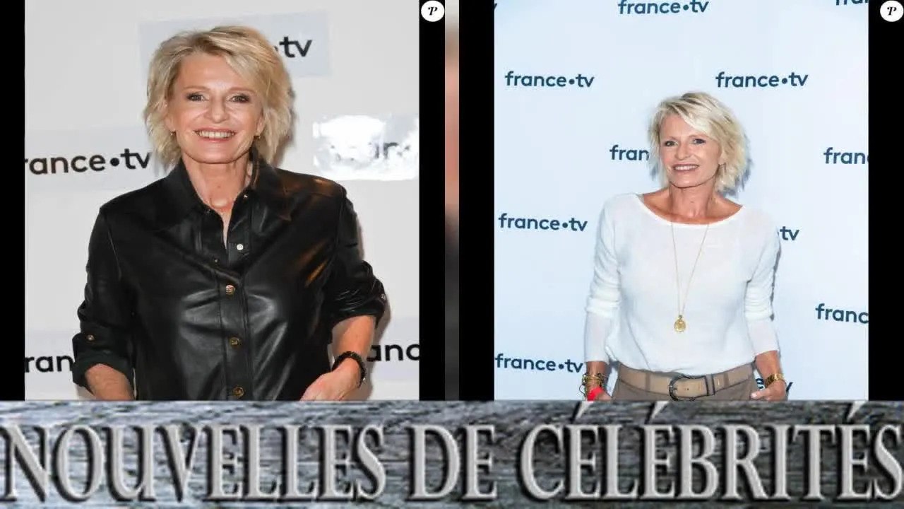 Sophie Davant et Erik Orsenna : Quand elle était "troublée" par ses déclarations d'amour enflammées.