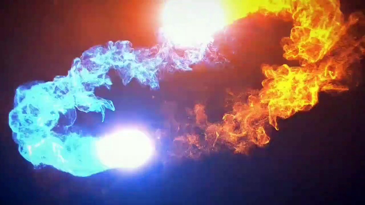 TOP 10 MOST BEAUTIFUL AND UNUSUAL ANIMALS part 5 || WEIRD ANIMALS || WEIRD NATURE