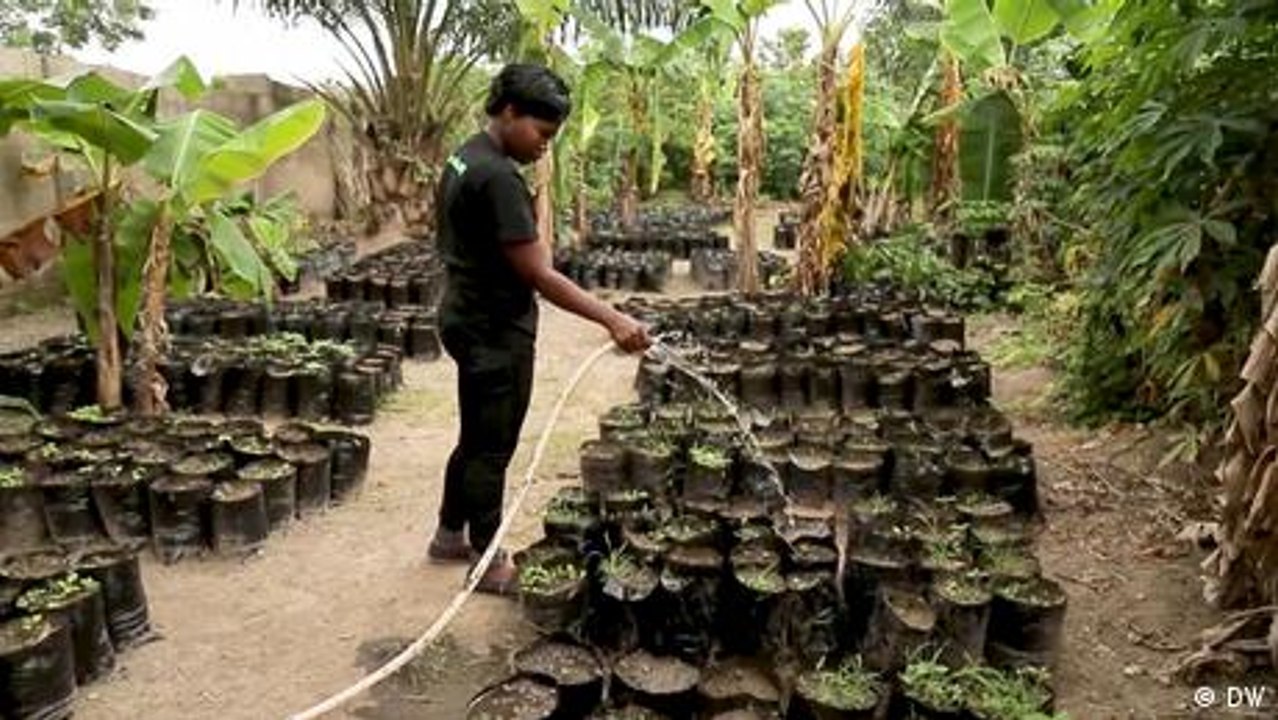 From swipe to harvest: Crowd-farming grows in Nigeria