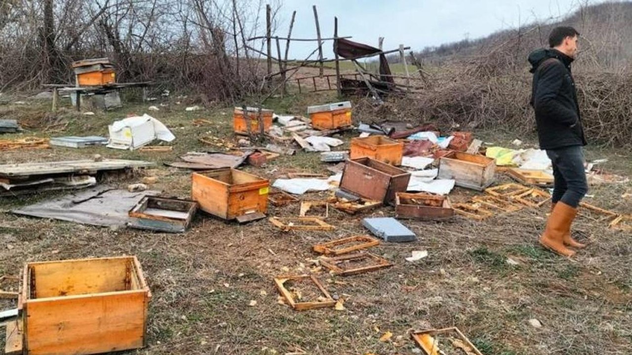 Baba yadigarıydı, gördükleri manzara ile şoke o...