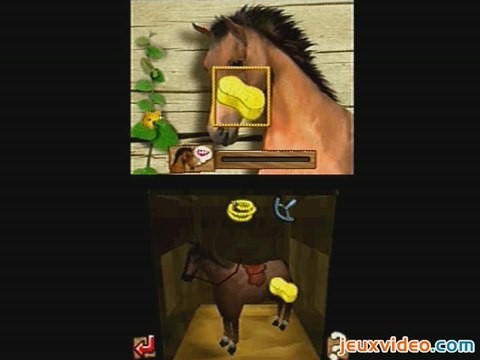 Real Stories : Mission Equitation : Occupez-vous de votre cheval