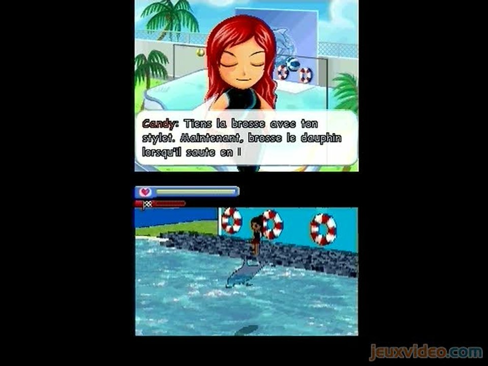Dolphin Trainer : Entraînement et compétition