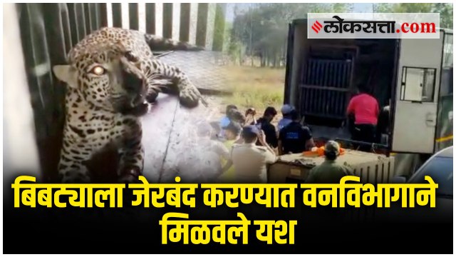 मुंबई : विरार लगतच्या कोपरगावात धुमाकूळ घालणारा बिबट्या जेरबंद