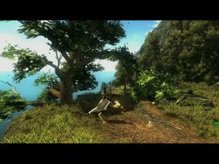 Risen : Clip 1 - Environnement