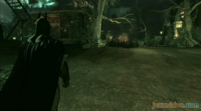 Batman Arkham Asylum : 1/2 : Baston à l'air libre