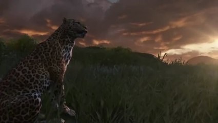 Far Cry 3 : Un monde ouvert