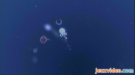 The Playstation Network Collection : Power Pack : Une question de rythme