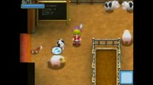 Harvest Moon : Welcome to the Bazaar of Wind : Nos amis les bêtes