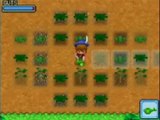 Harvest Moon : Welcome to the Bazaar of Wind : Plantation