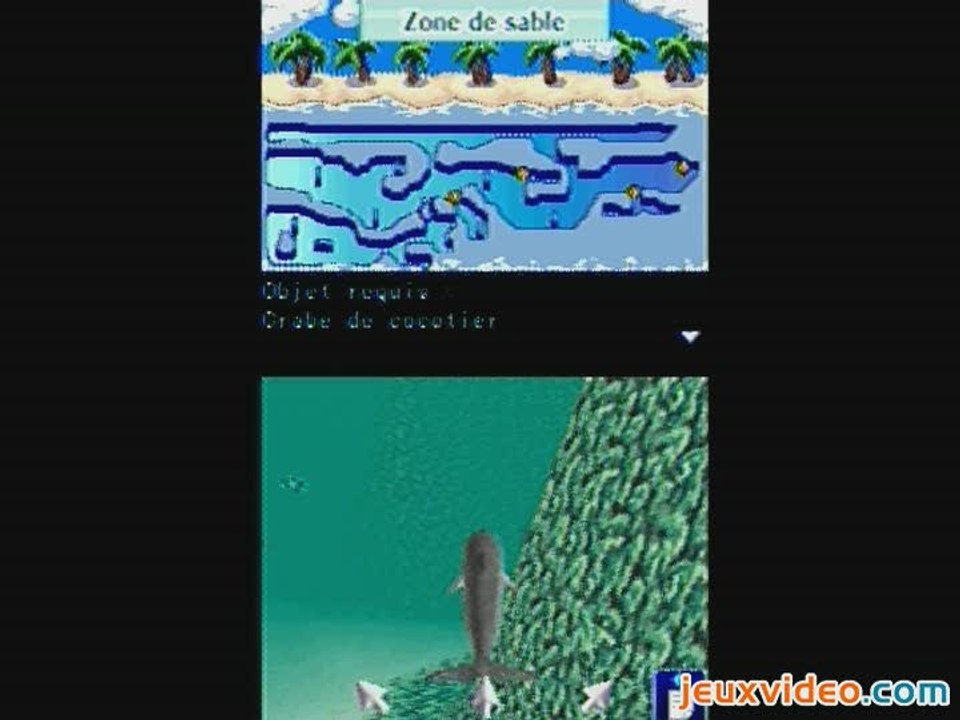 Mon Ami le Dauphin 2 : Explorez les océans !