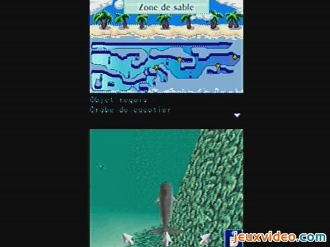 Mon Ami le Dauphin 2 : Explorez les océans !